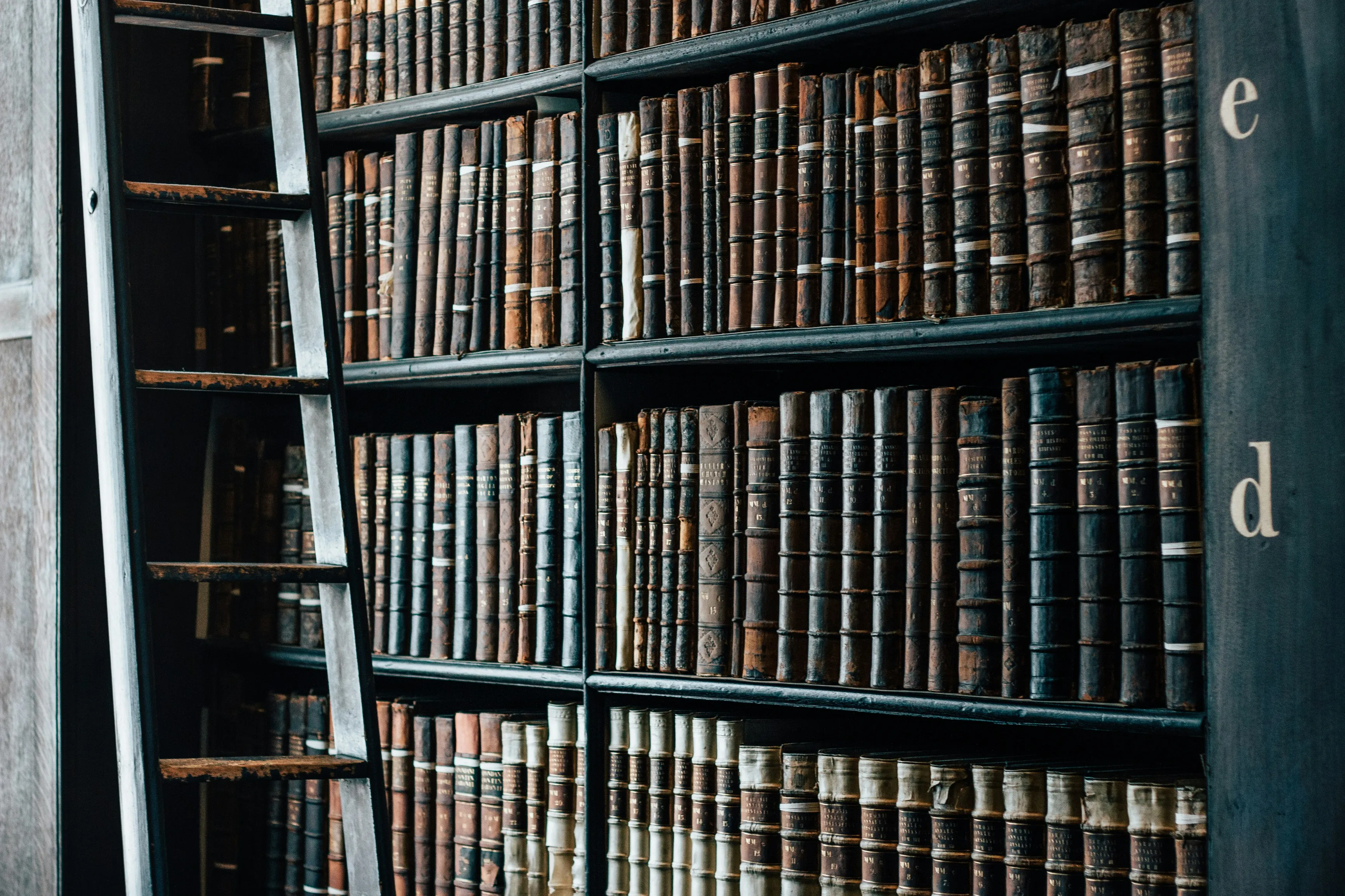 Historische Bibliothek mit ledergebundenen Rechtsbänden - Sinnbild für Wissensbestände unter eigener Kontrolle